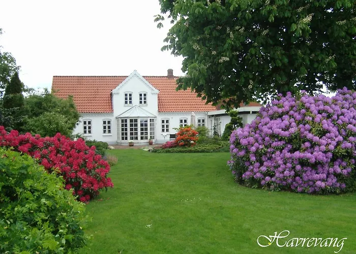 Havrevang *